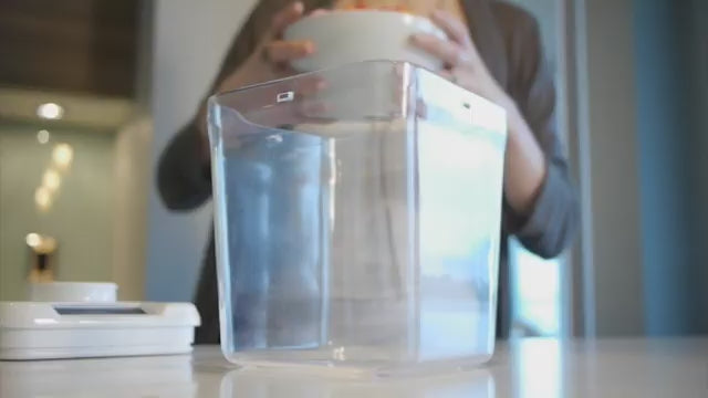 kSafe Kitchen Safe blue lid clear time locking container – Shark Tank USA product in Egypt